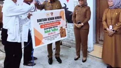 Walikota Ambon Salurkan Hewan Kurban Presiden Prabowo Subianto ke Masjid As-Salamah Air Salobar