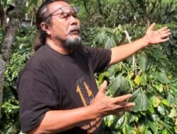 Horja Bius Bersama Mogan Pasaribu dan Moctavianus Masheka Siregar akan Tampil Road Show di Melbourne Australia